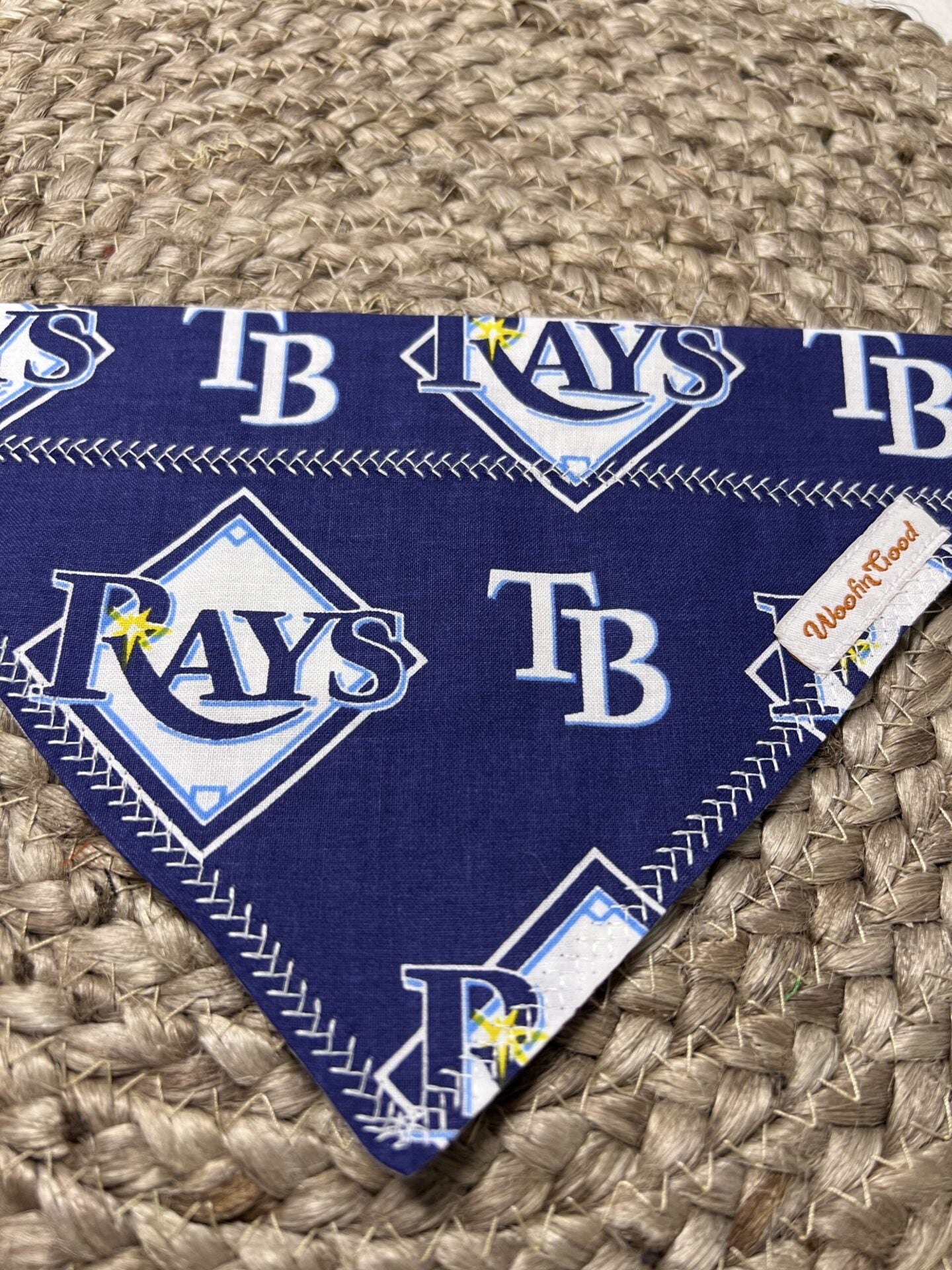 Tampa Bay Rays Dog Bandanna over the collar