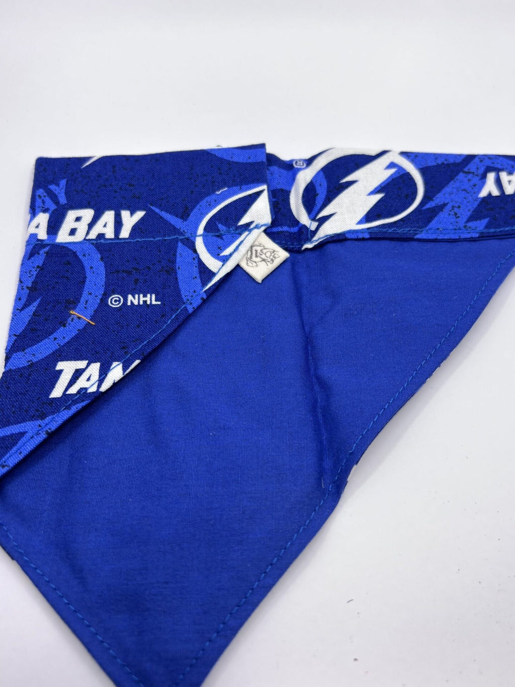 Tampa Bay Dog Bandana Over the Collar