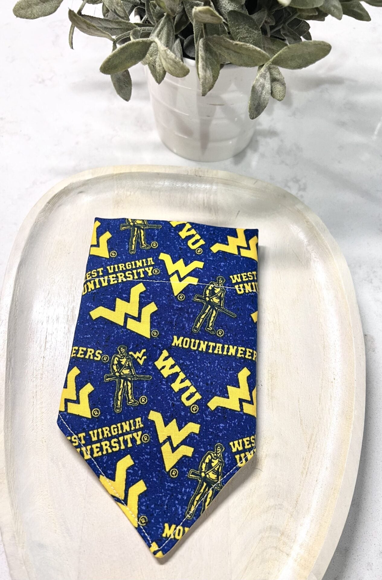 West Virginia MOUNTAINEERS Dog Bandanna over the collar