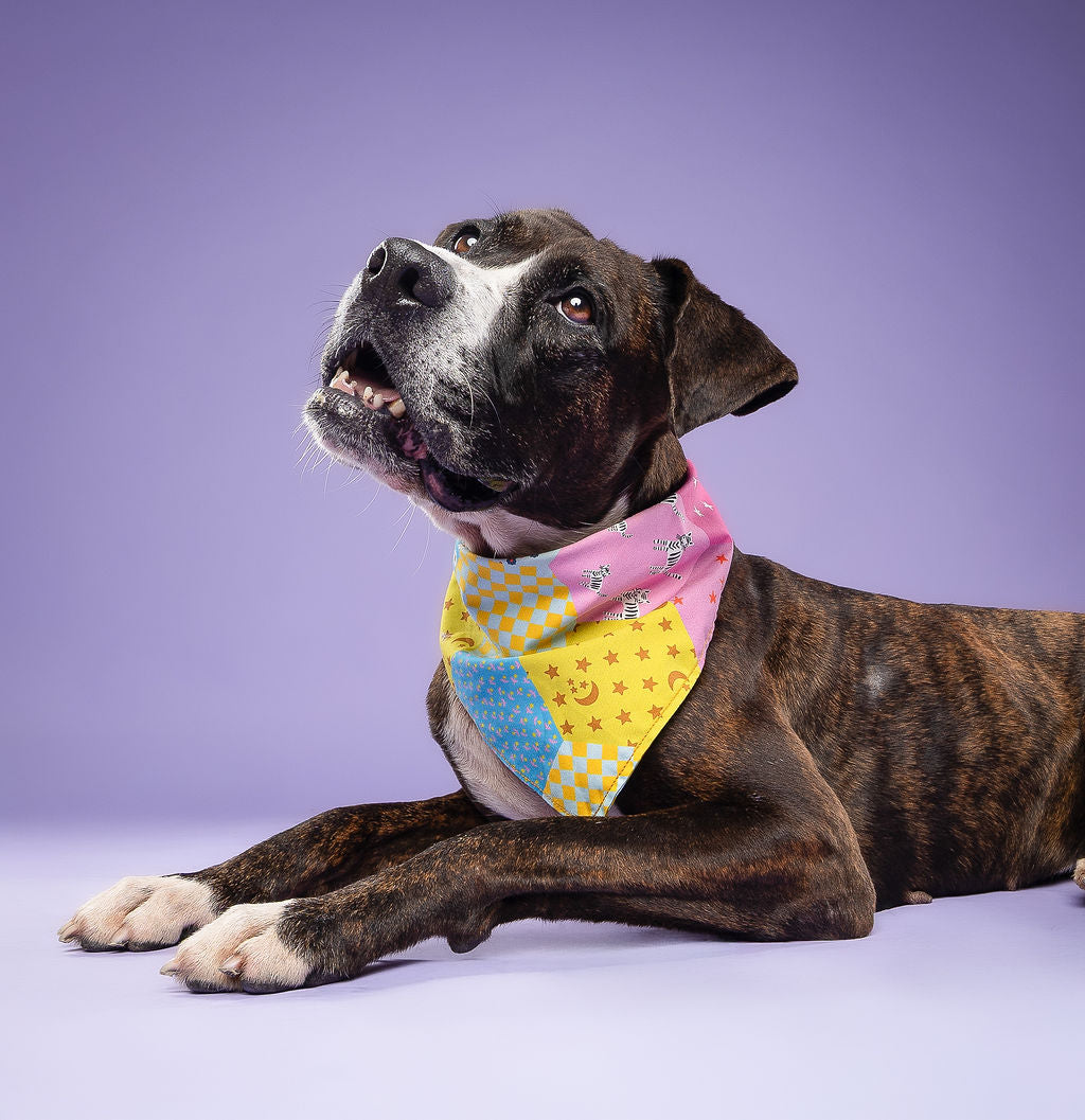 Dog Tie Bandanna