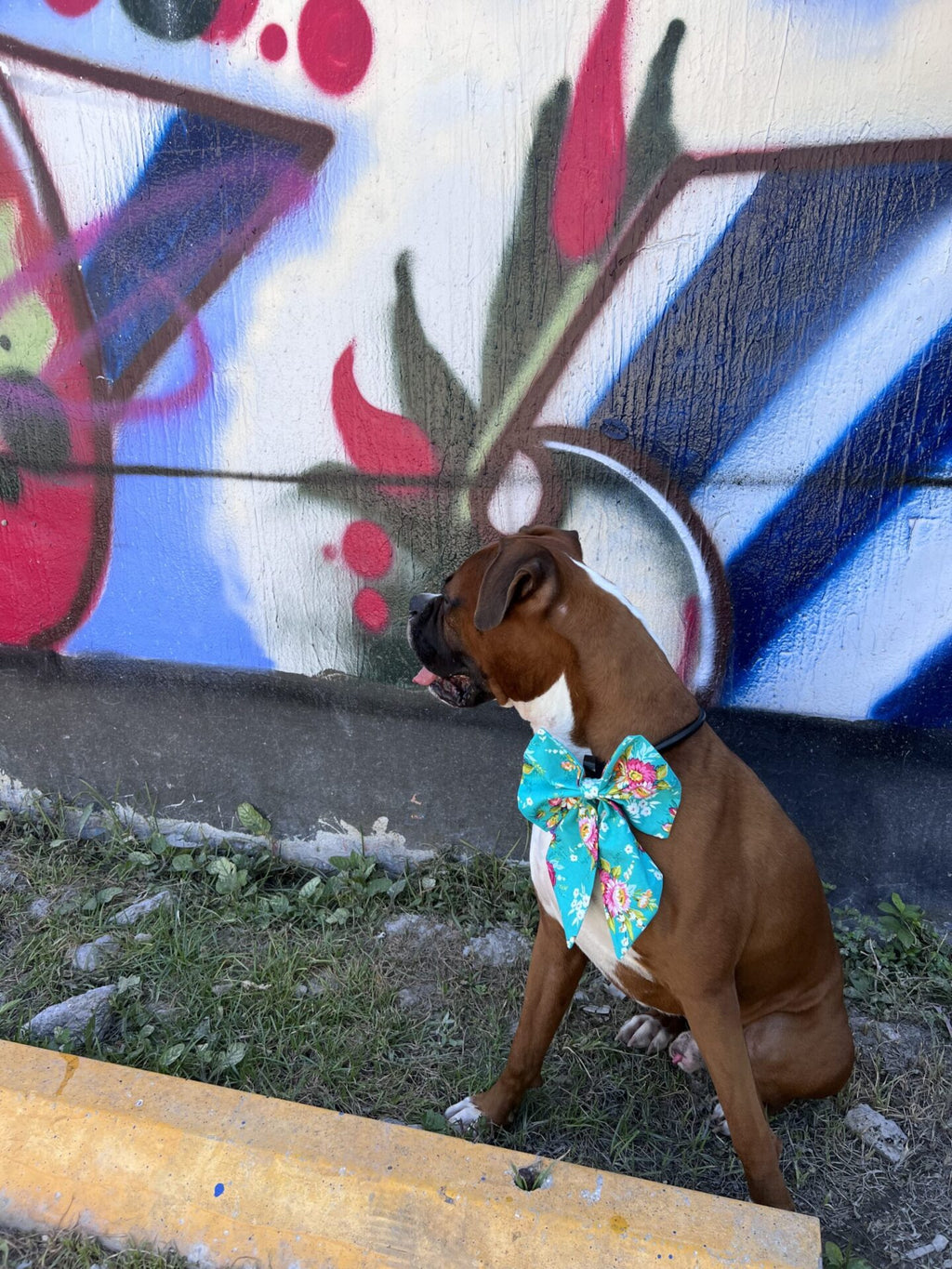Dog wearing a floral bow tie sitting in front of a colorful mural.