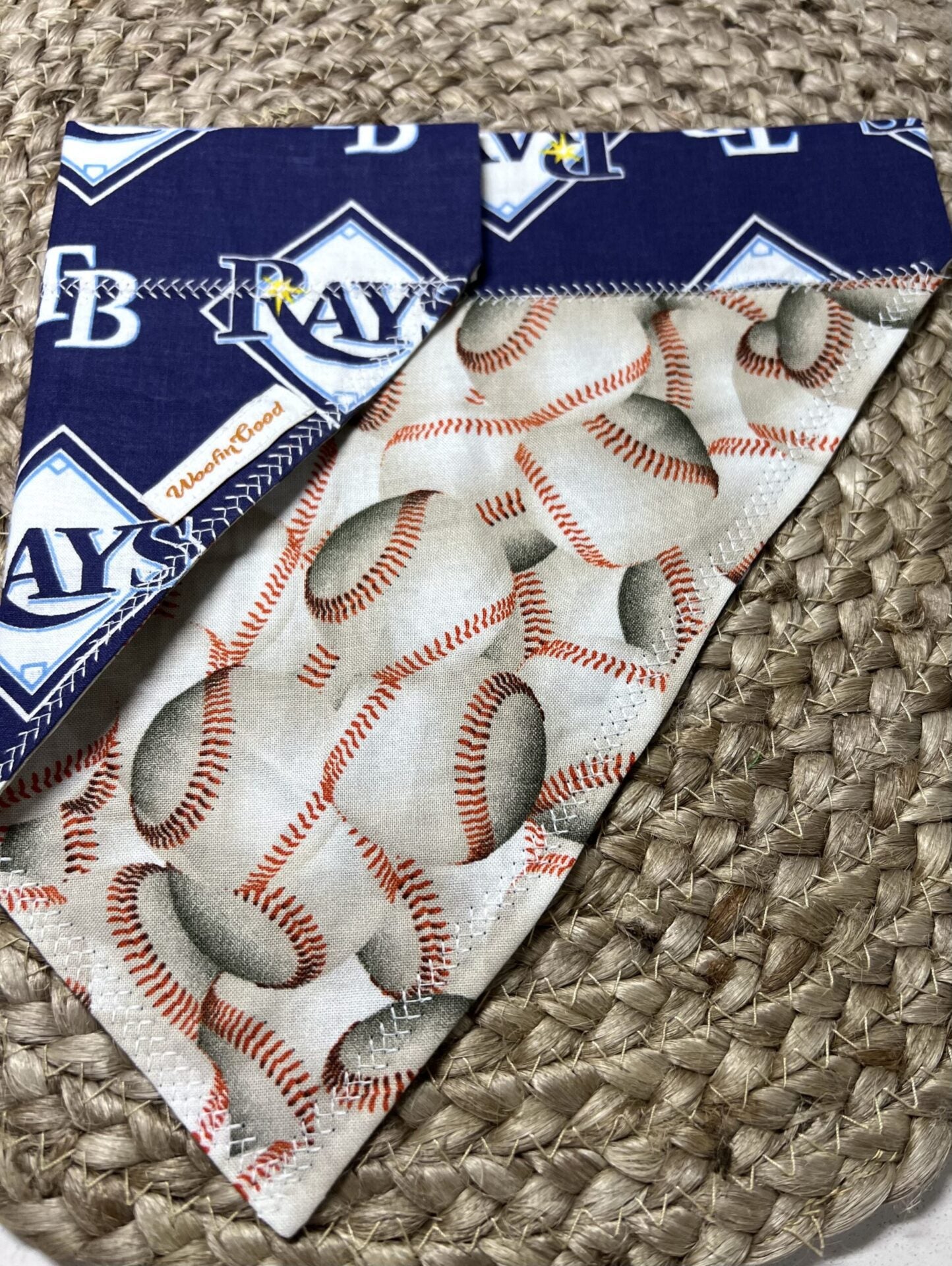 Tampa Bay Rays Dog Bandanna over the collar