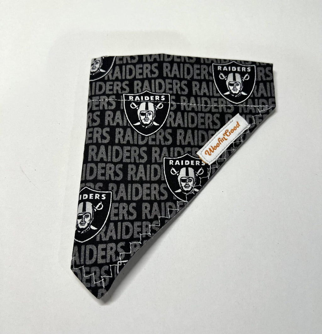 Las Vegas Raiders Dog Bandanna over the collar