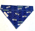 Seattle Seahawks Dog Bandanna over the collar