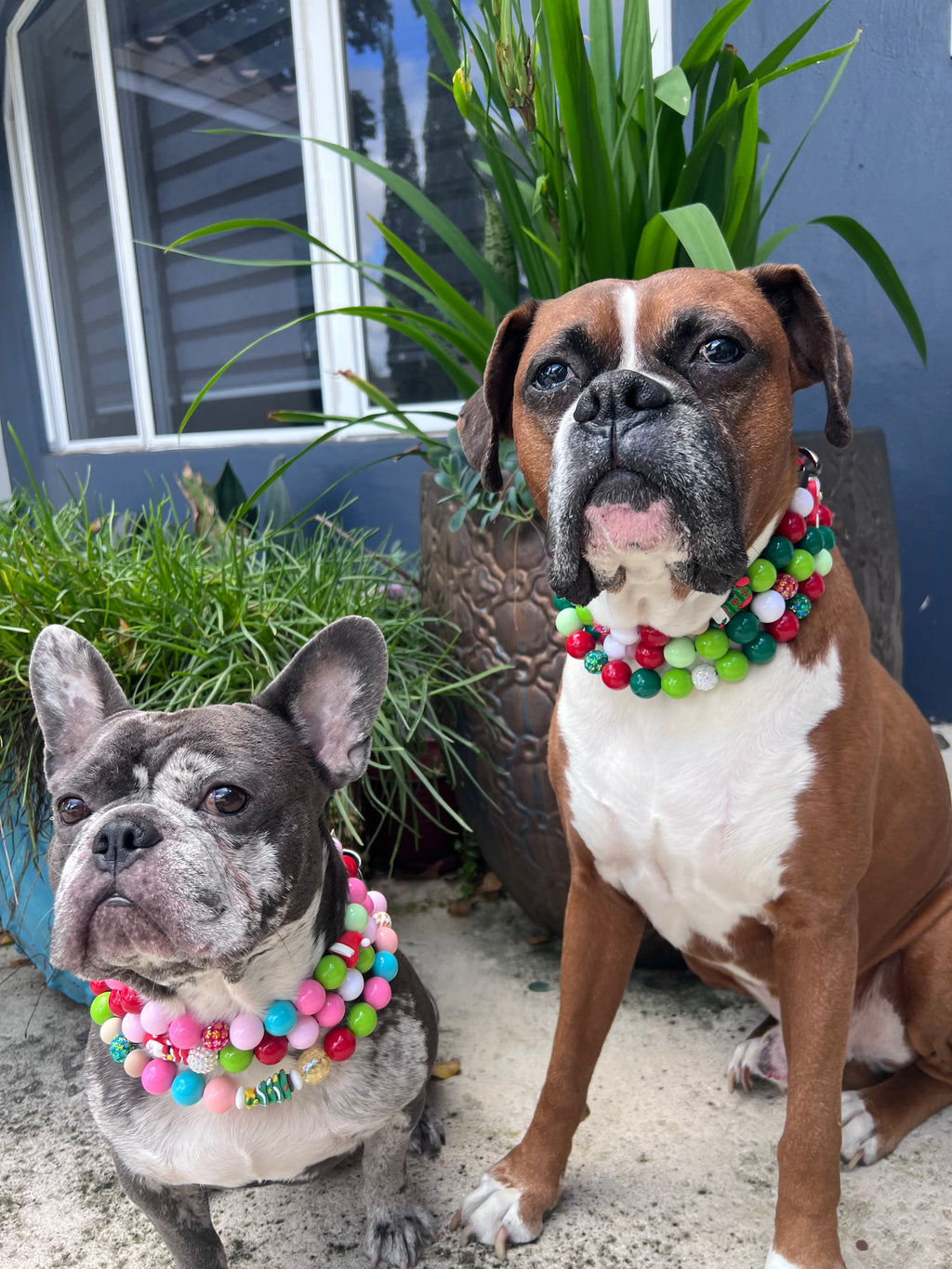 Dog Beaded Collar