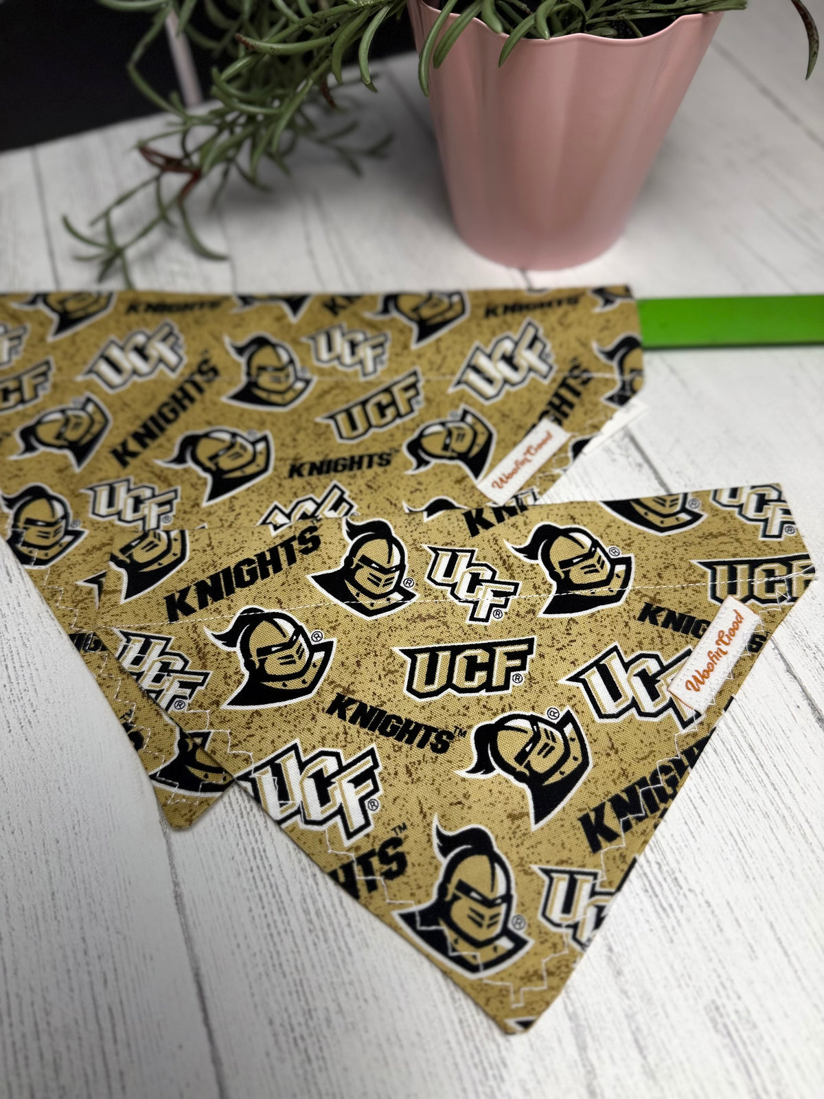 UCF Knights Dog Bandanna Over the Collar