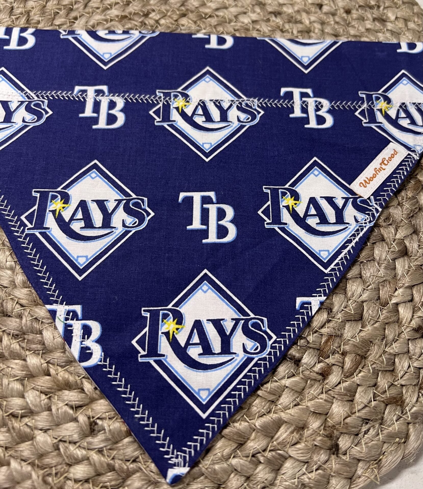 Tampa Bay Rays Dog Bandanna over the collar
