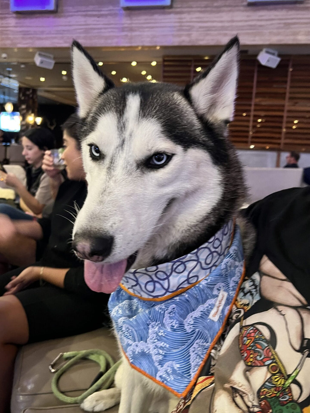 Ocea Tie Dog Bandanna