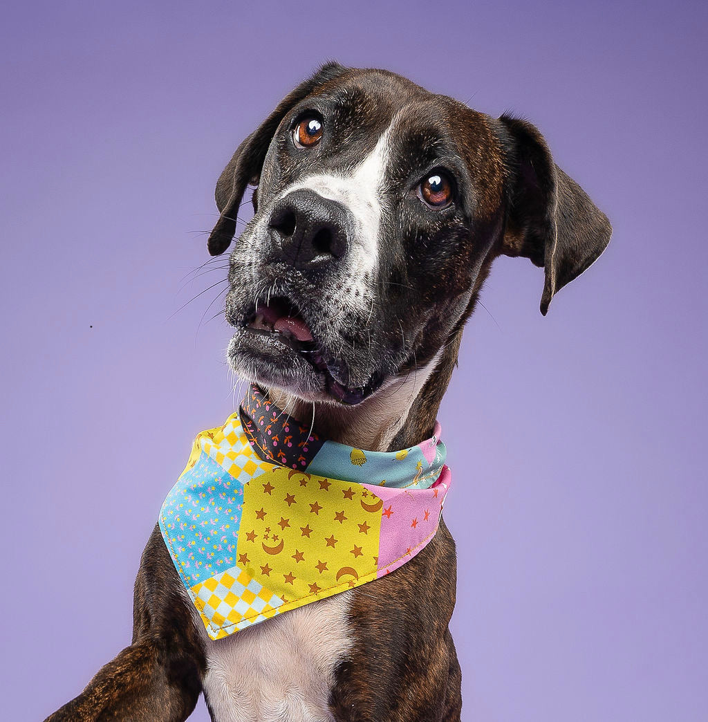 Dog Tie Bandanna