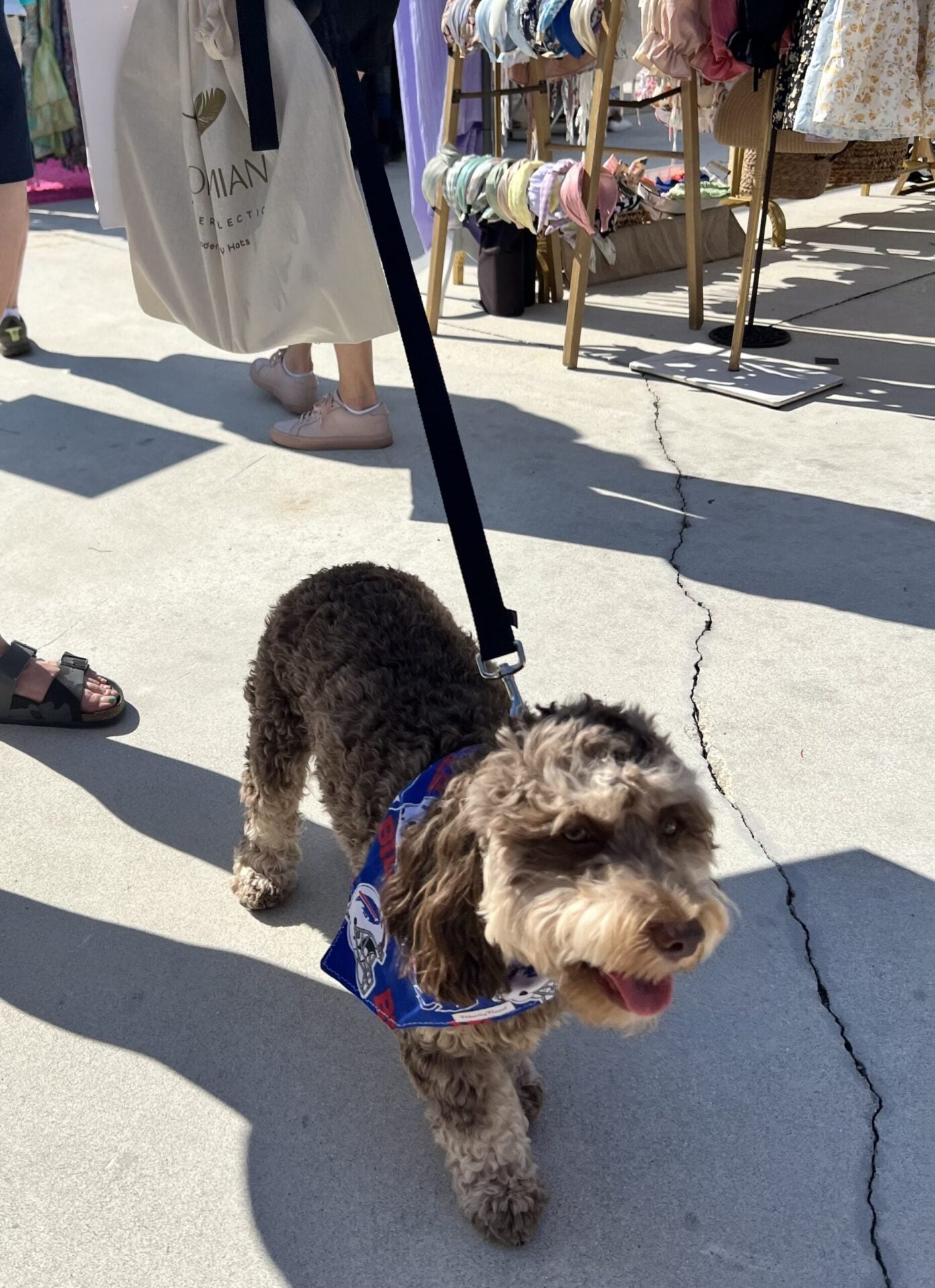 Buffalo Bills  Dog Bandana Over the Collar