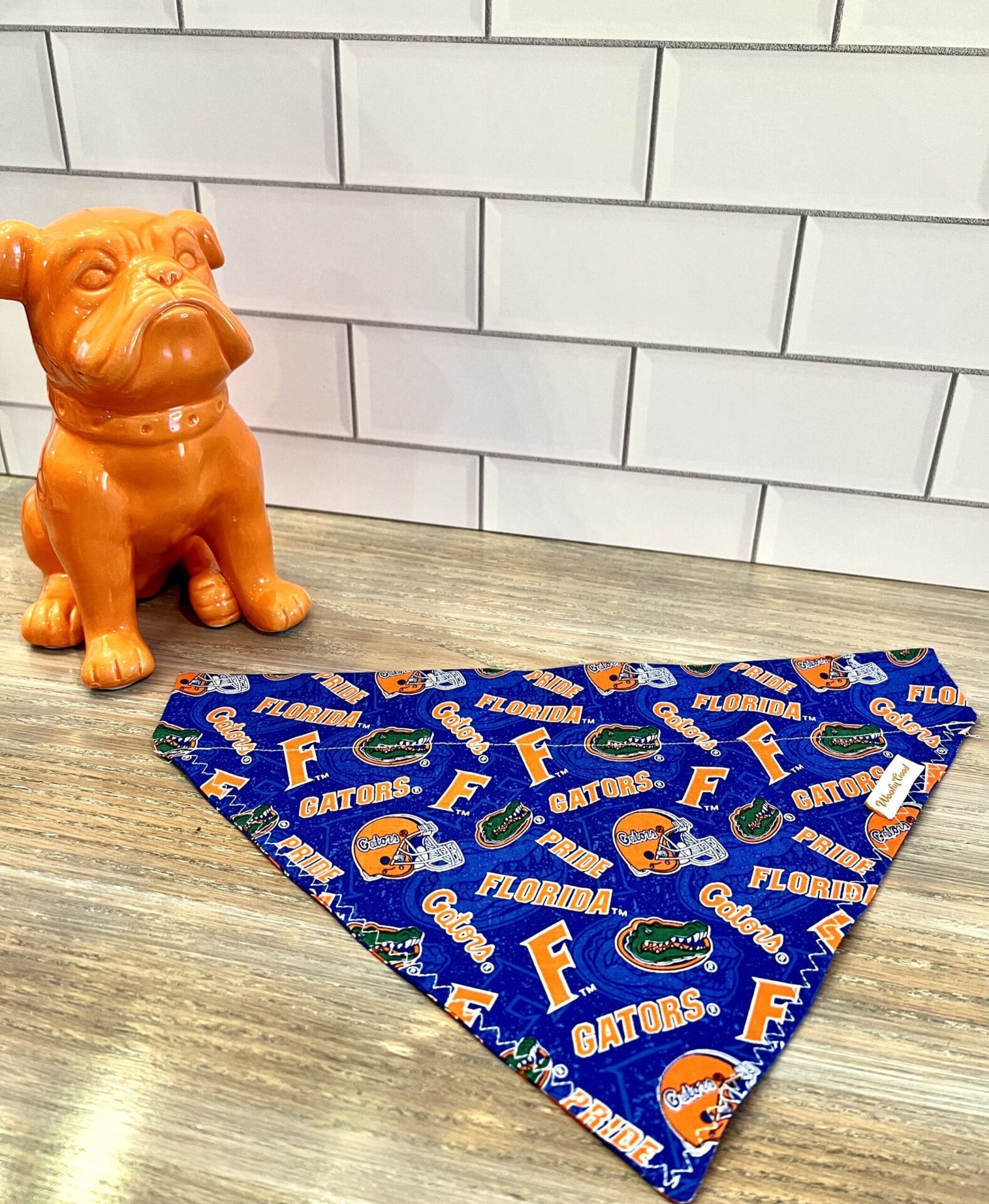 UF Florida Gators College  Dog Bandanna Over the Collar