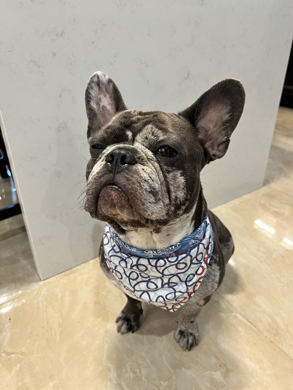 Ocea Tie Dog Bandanna