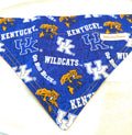 University of Kentucky Wildcats Dog Bandanna over the Collar