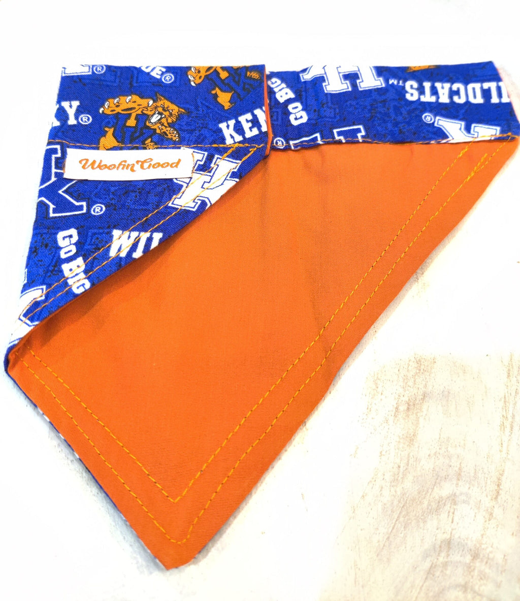 University of Kentucky Wildcats Dog Bandanna over the Collar