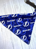 Tampa Bay Dog Bandana Over the Collar