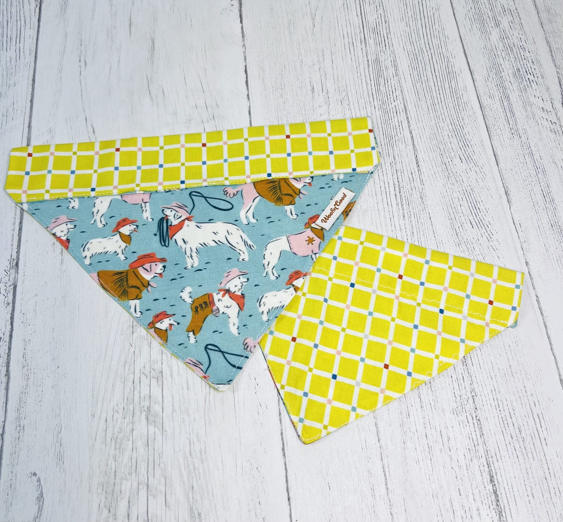 Cowboy Pups bandanna over the collar