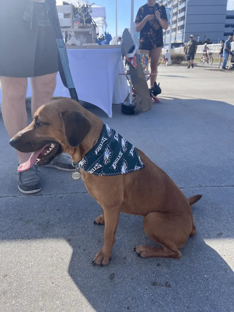 Eagles Over the Collar dog bandannas