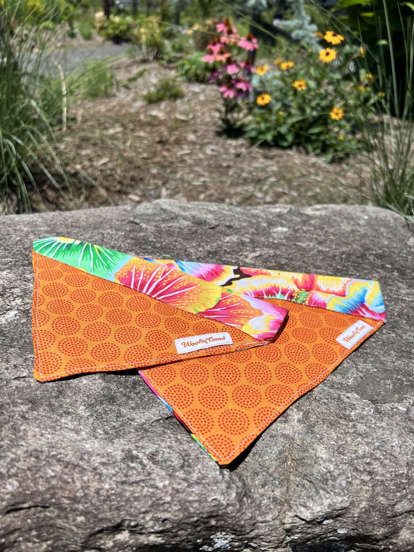 SUMMER Dog Bandanna over the collar