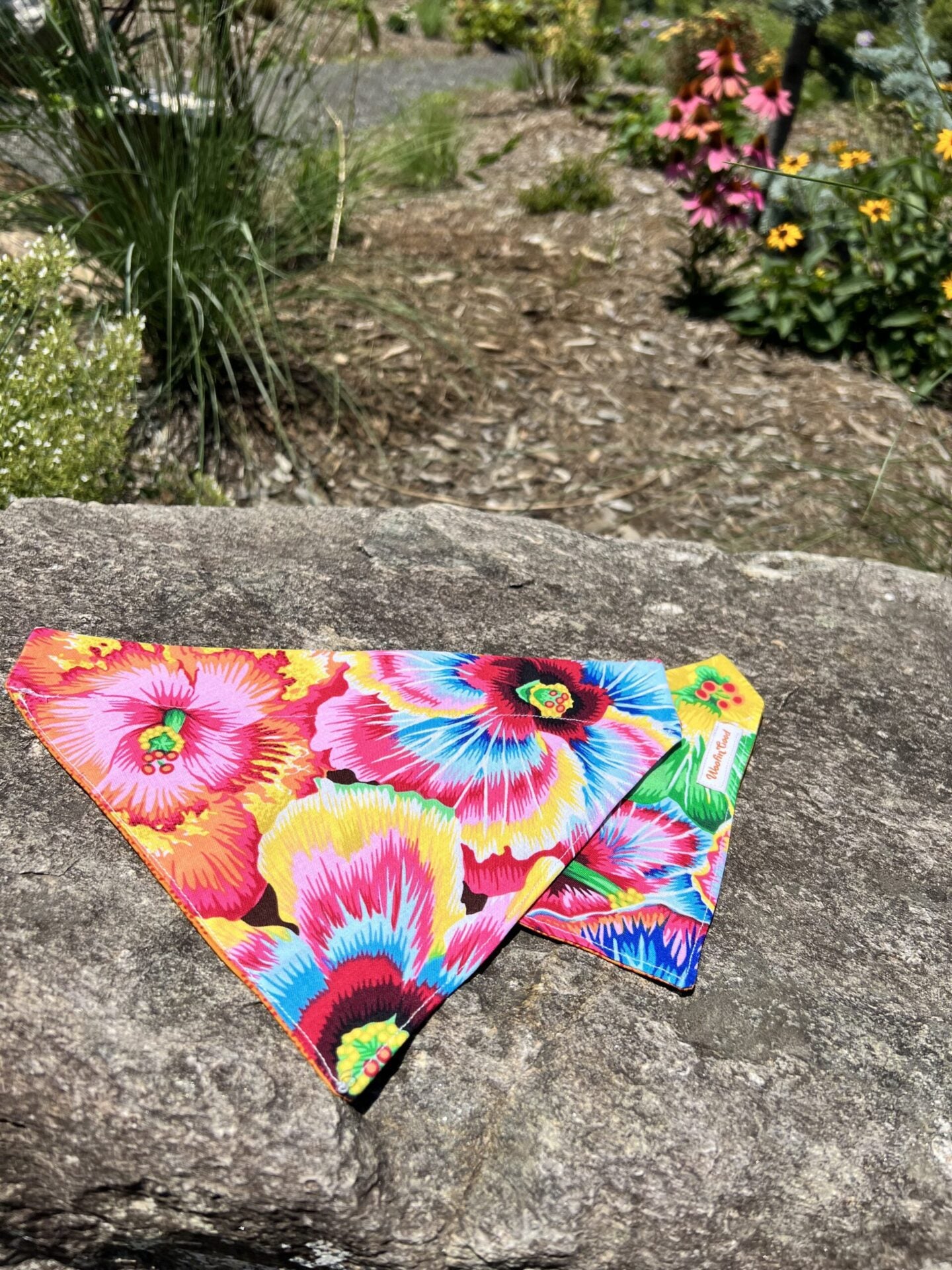 SUMMER Dog Bandanna over the collar