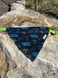 The Carolina Panthers Dog Bandana Over the Collar