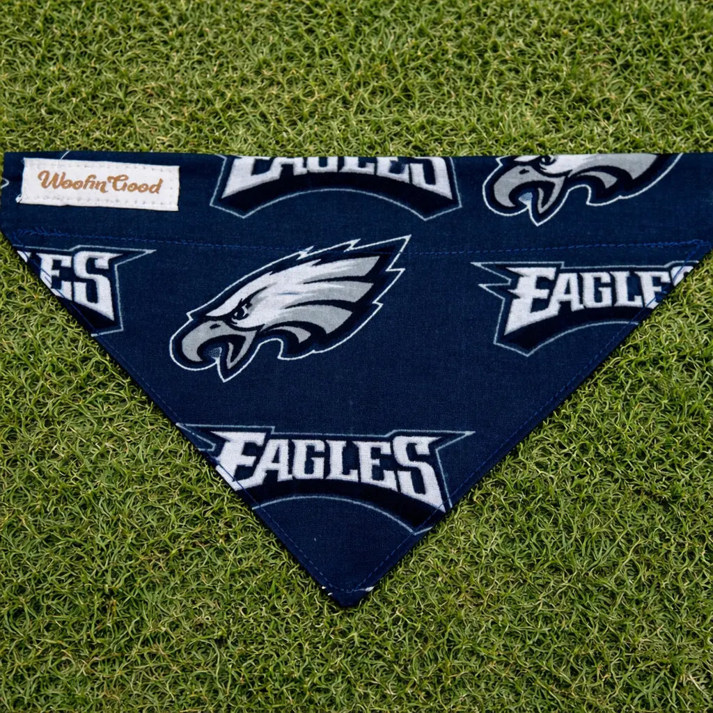 Philadelphia Eagles Dog Bandanna over the collar