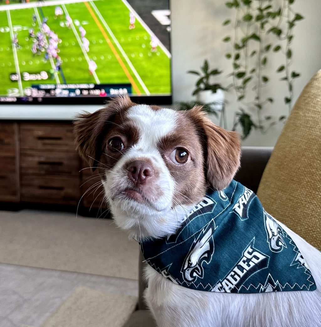 Dog wearing a bandana in front of a TV showing a football game
