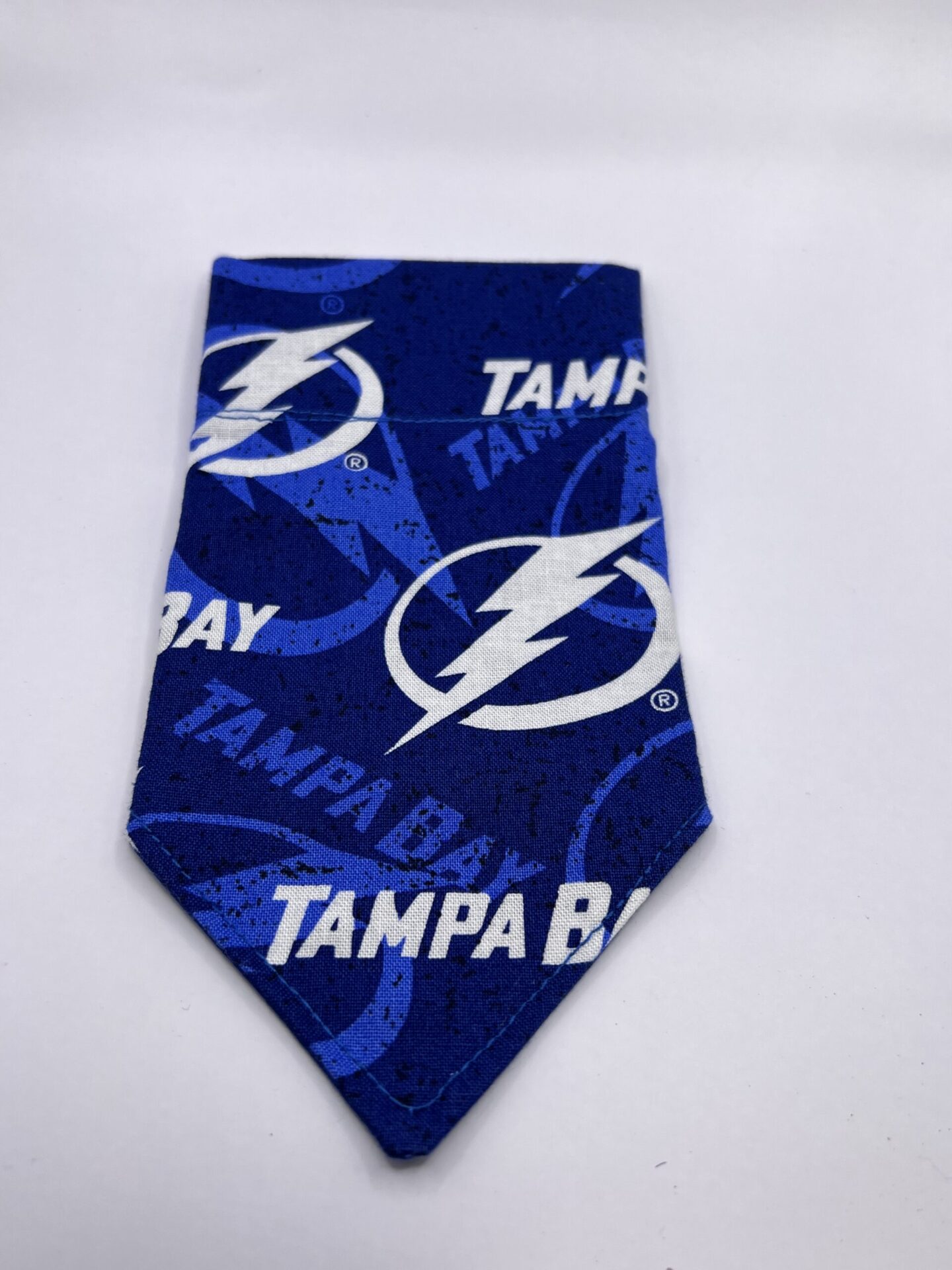 Tampa Bay Lightning Dog Bandana NHL Stanley Cup Tie On Dog Bandana –  Journeys Attic