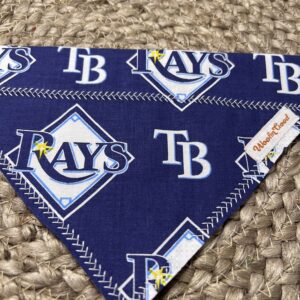 Tampa Bay Rays Dog Bandanna over the collar