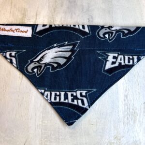 Philadelphia Eagles Dog Bandanna over the collar